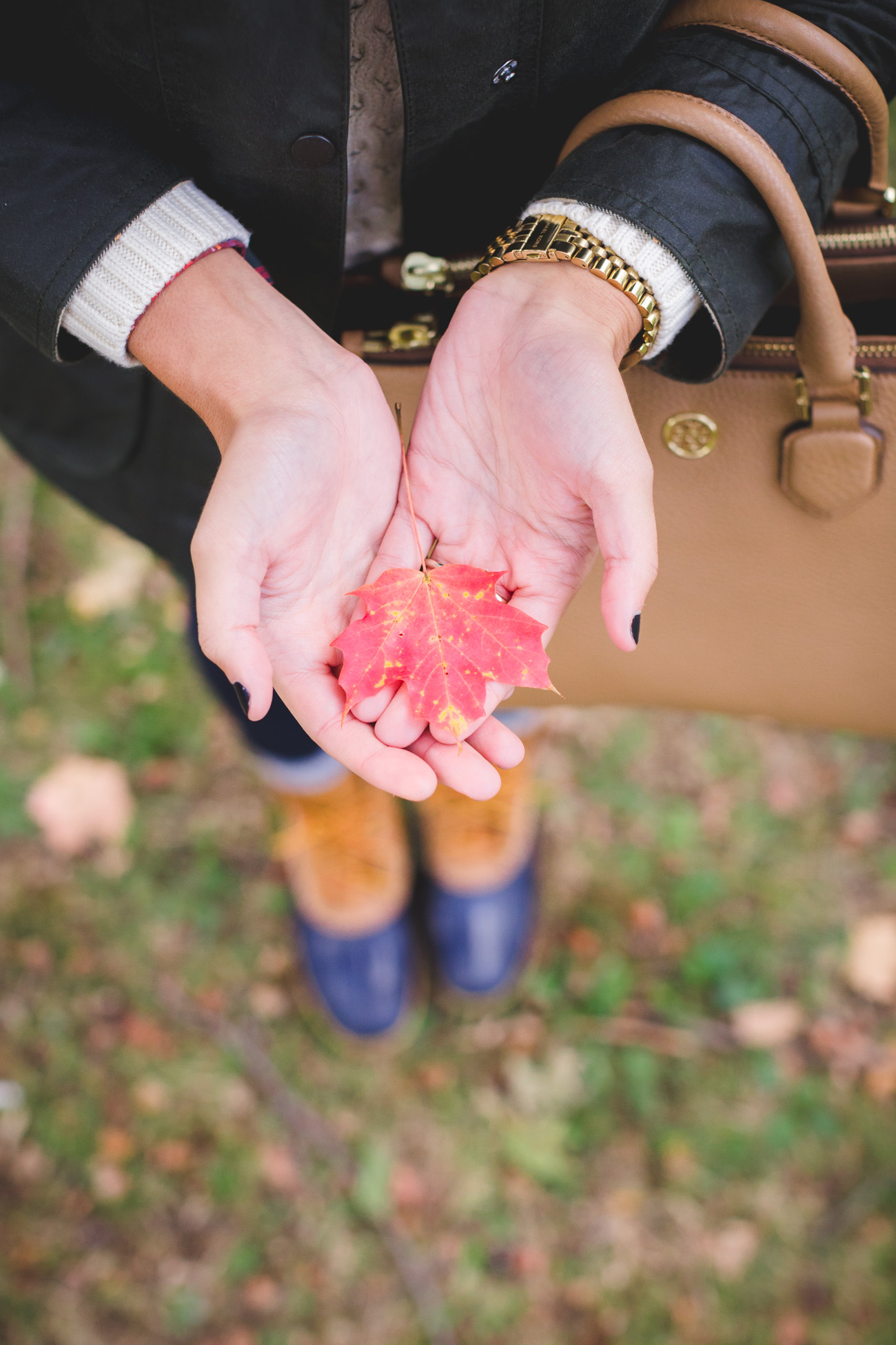 fall foliage, fall leaves, new england fall, new england fall weather, bean boots, barbour coat, tory burch purse // grace wainwright from a southern drawl