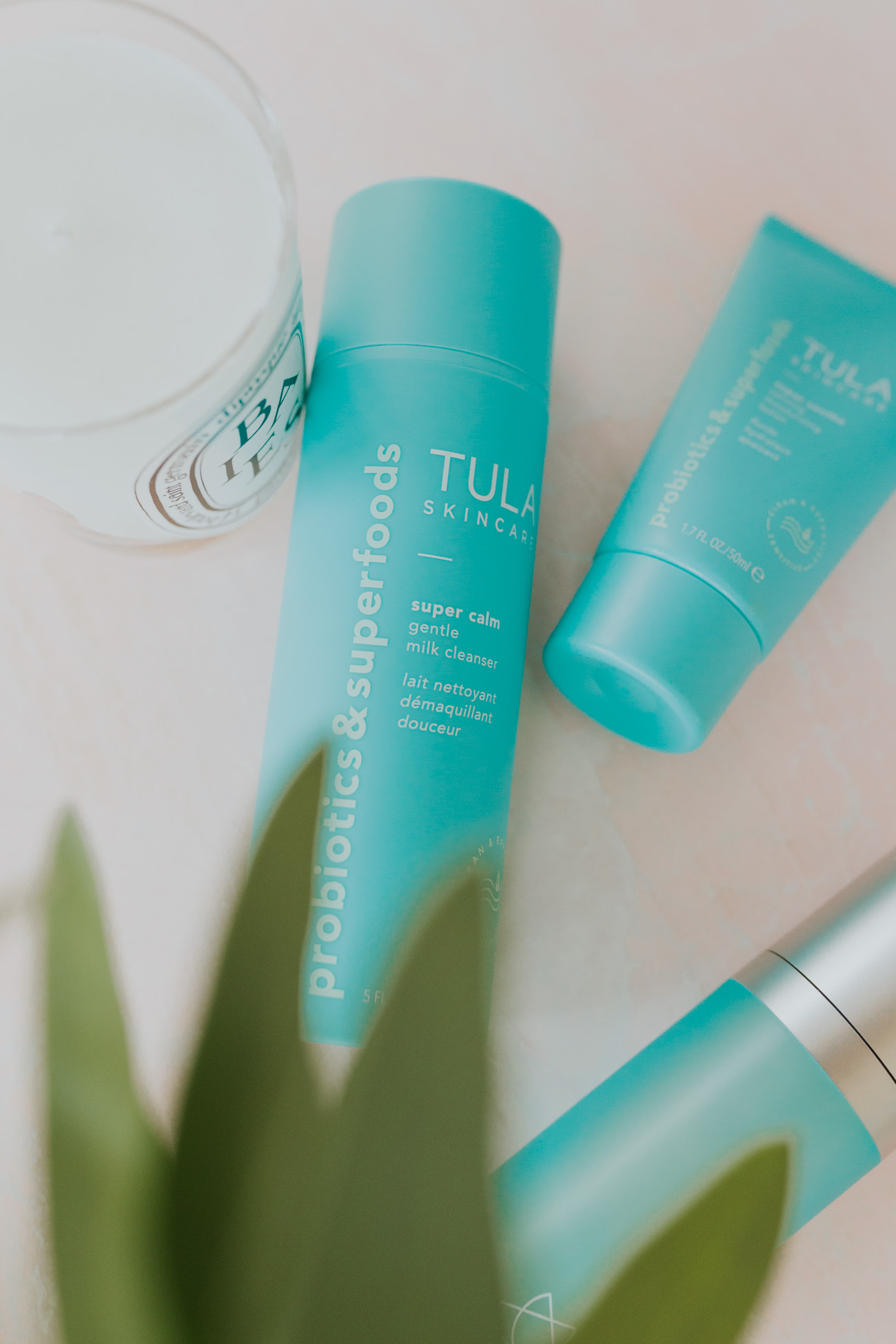 tula probiotic skincare, 6 tips to clear your skin, GRACE white a southern drawl